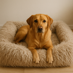 Lit Nuage Canin
